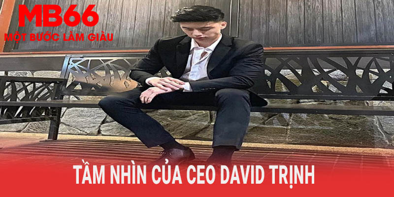 Tầm nhìn của CEO David Trịnh